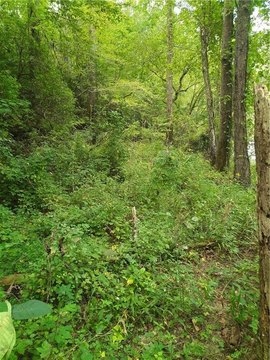 Land, Talking Rock, GA
