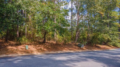 Aiken Golf Course Homesite Opportunity