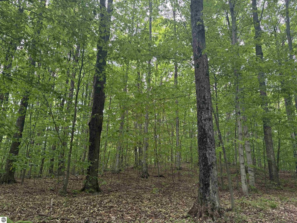 Picture 48