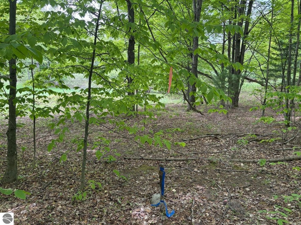 Picture 35