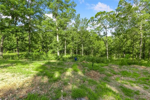 LAND - Harrison, AR