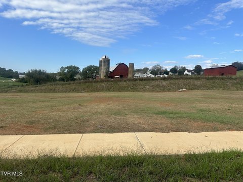 Residential Land in Johnson City