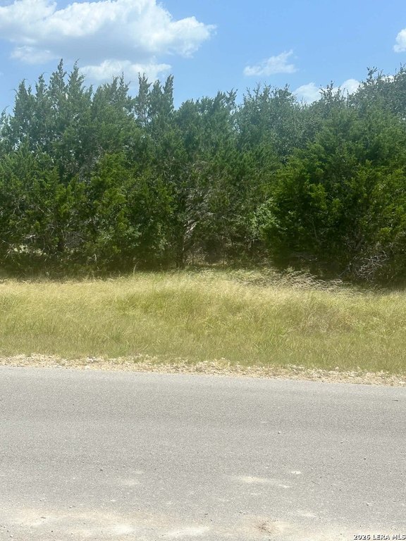 Picture 3