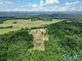 Hunting Land with Cabin