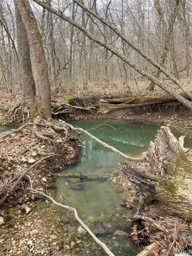 Wooded Recreation Land