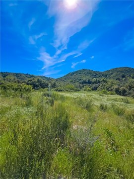 Temecula Land with Oak Trees
