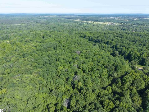 Wooded Acreage in Antrim County