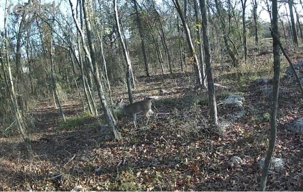 Picture 8