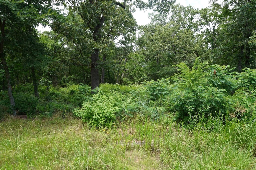 Picture 5