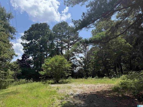 LAND - VINCENT, AL