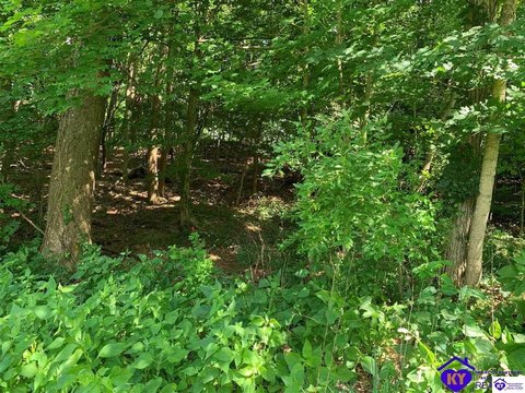 Residential Building Lot in Radcliff