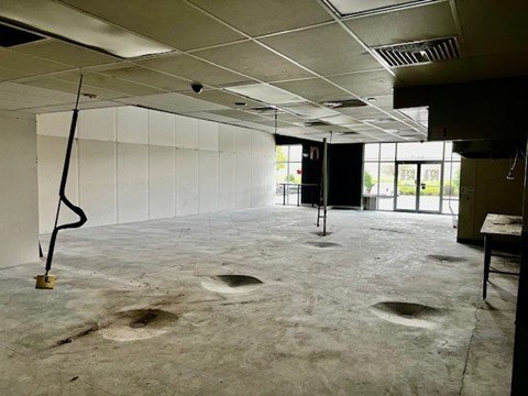 Picture 10