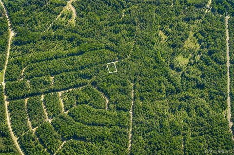 Land, Dunnellon, FL