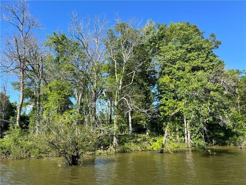 Land, Jonesville, LA
