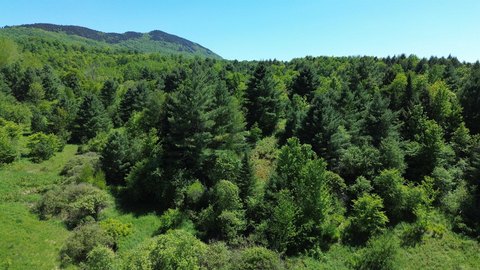 Residential Land Parcel with Trail Access