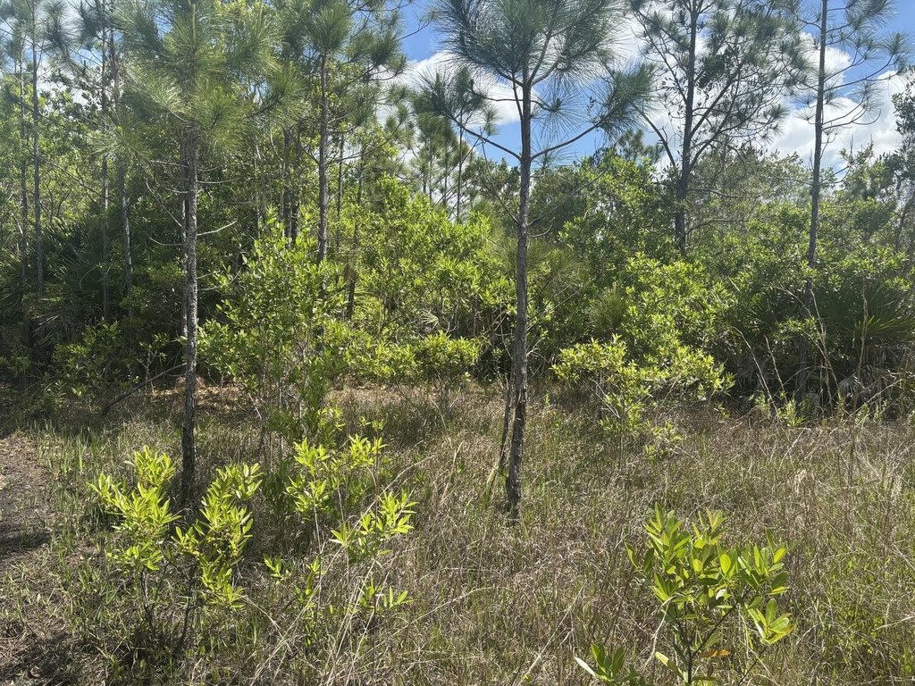 Picture 3