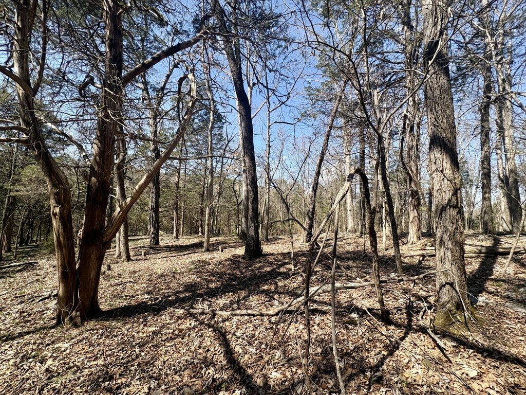 Picture 14