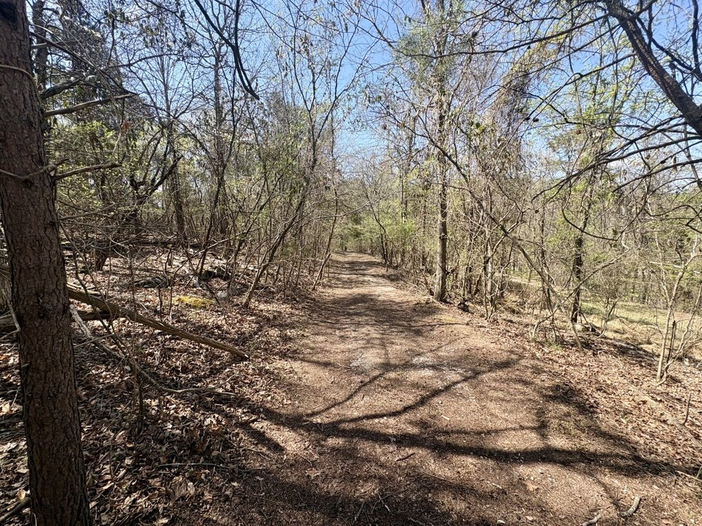Picture 16