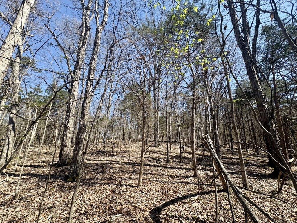 Picture 15