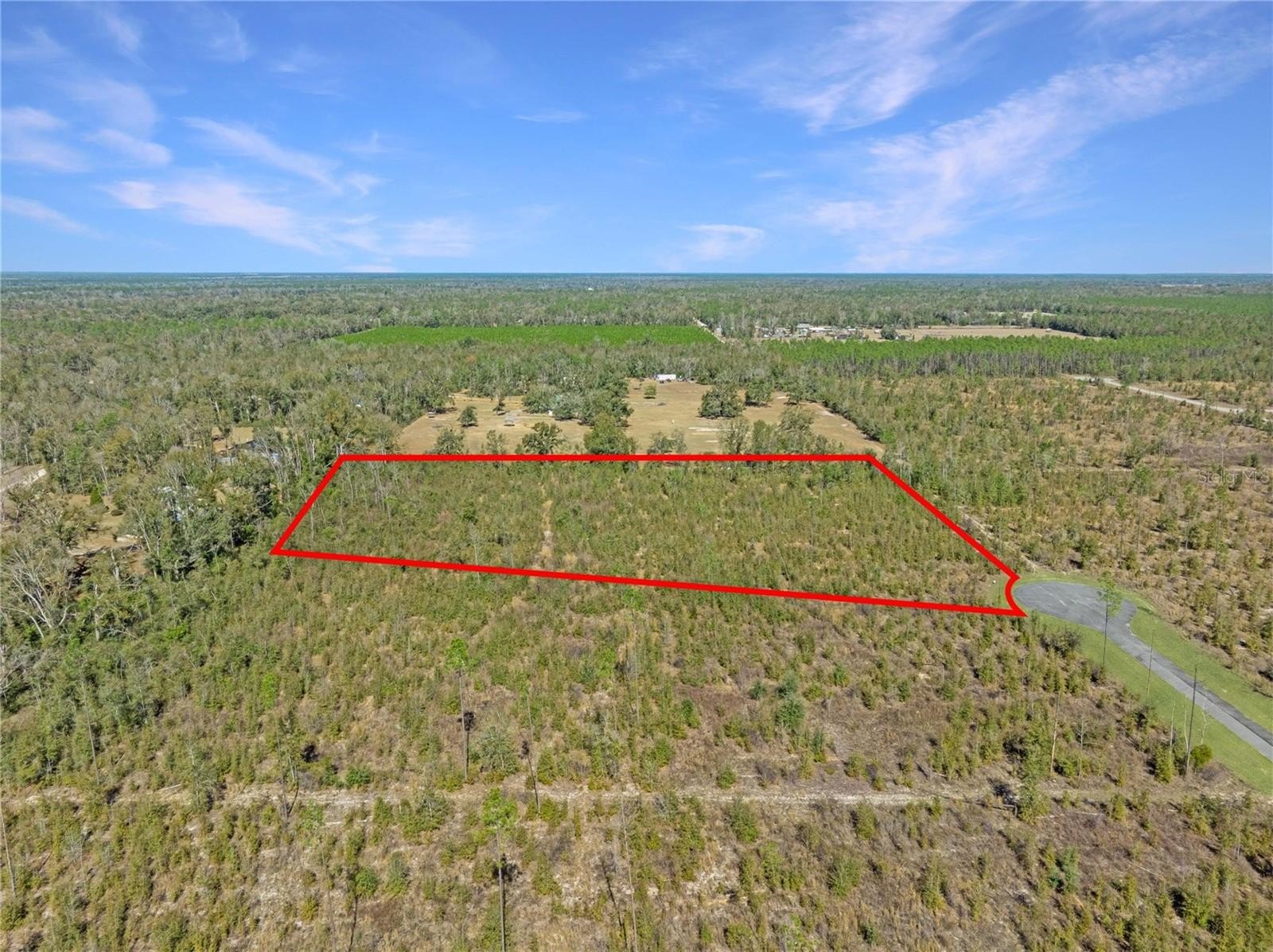 Secluded 4.97-Acre Live Oak Parcel