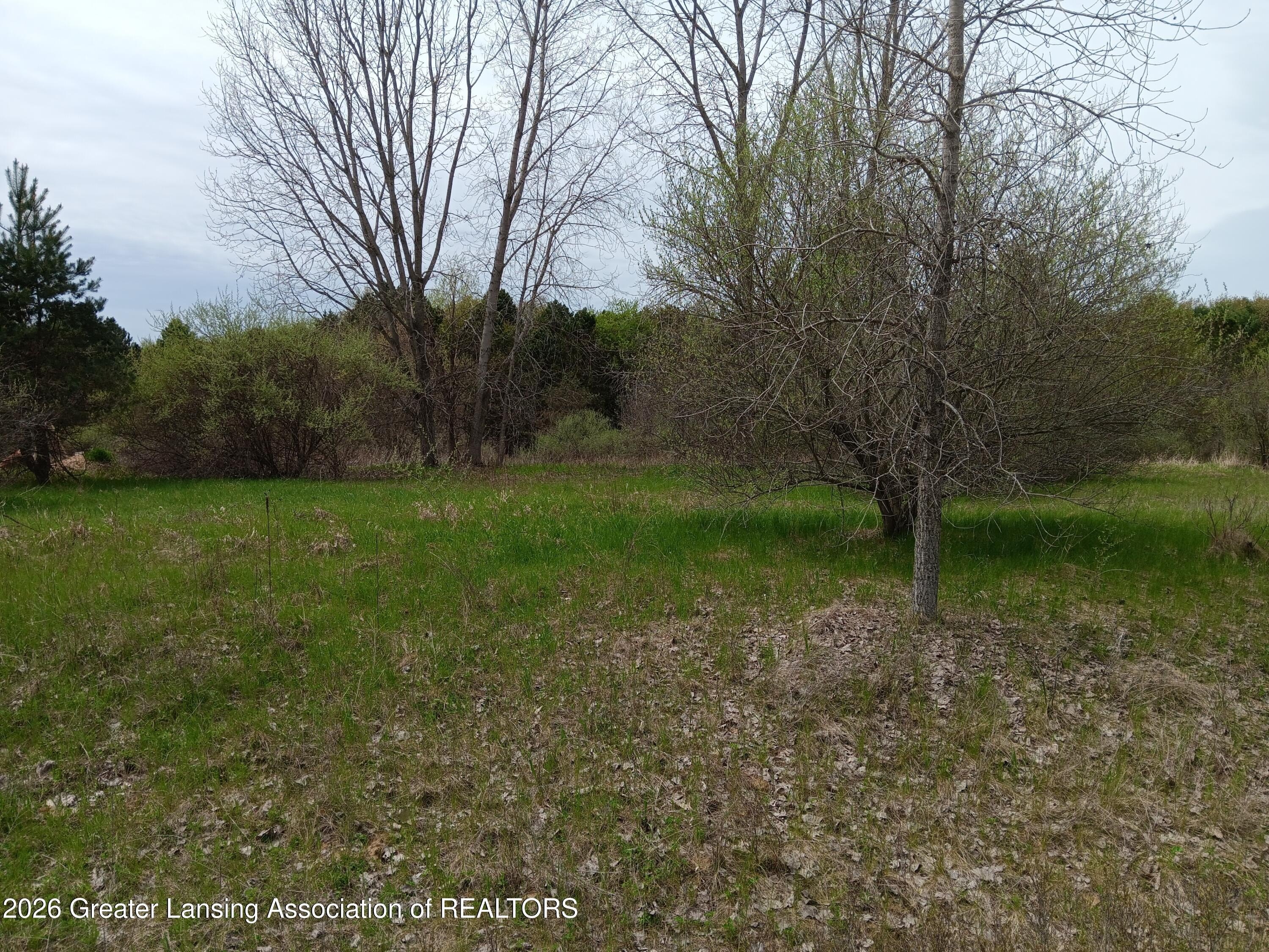 Residential Land in Owosso, MI