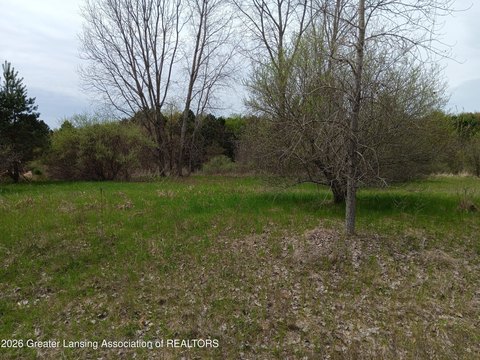 Residential Land in Owosso, MI