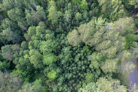 Eagle River Acreage: Build Ready