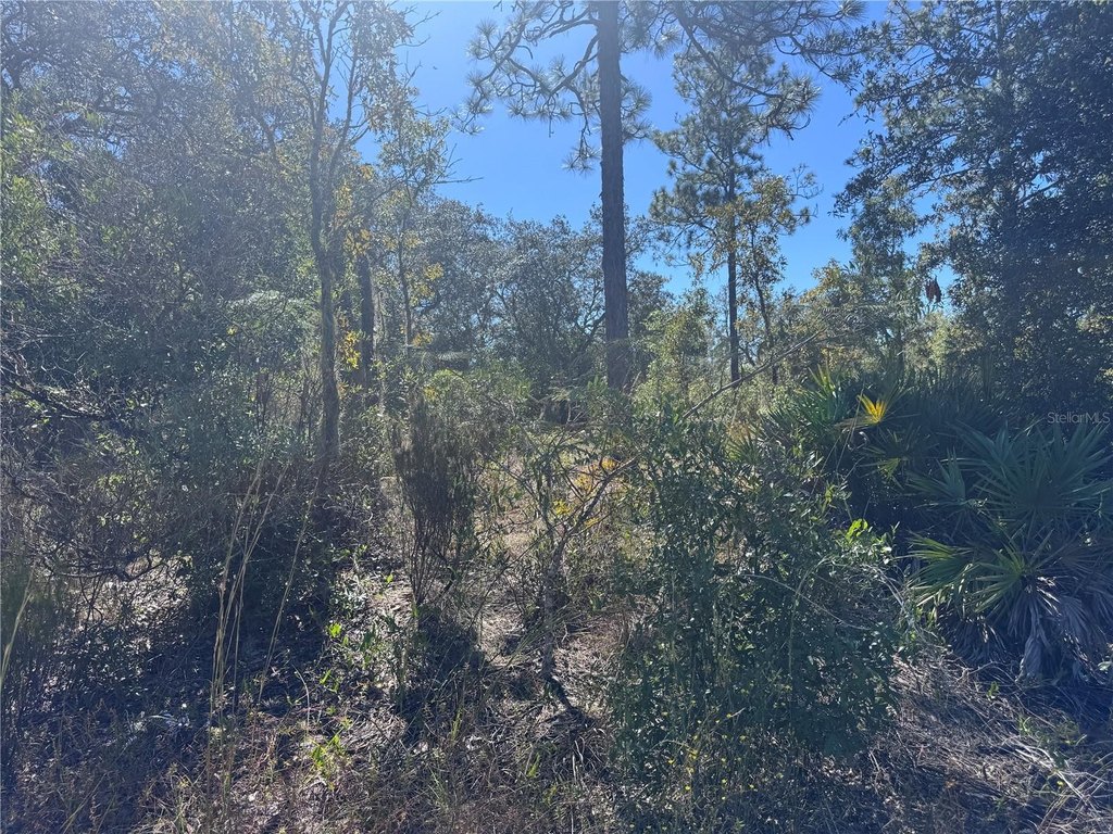 Picture 6