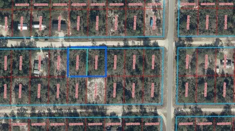 Land, WILLISTON, FL