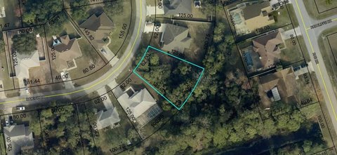 Residential Land in Palm Coast