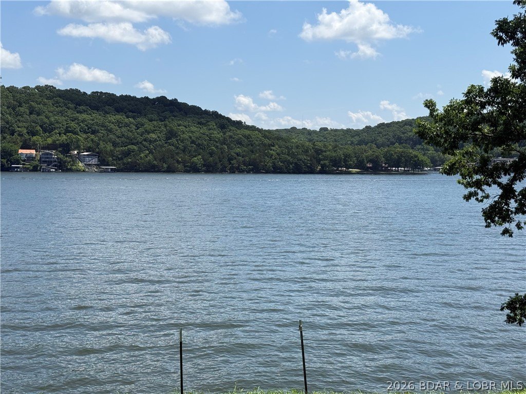 Picture 8