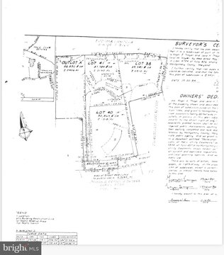 Potomac Land with Wooded Retreat