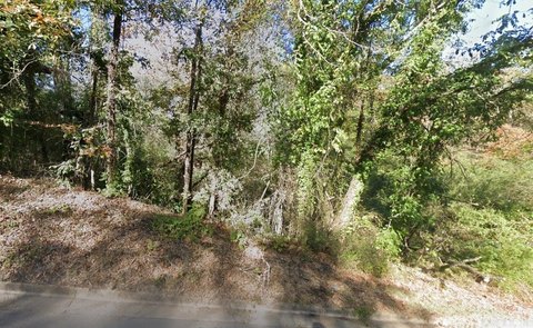 Residential Lot Near Downtown