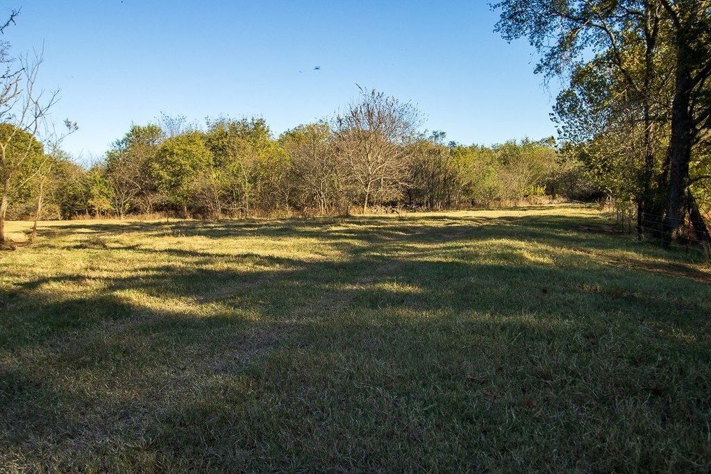 Picture 25