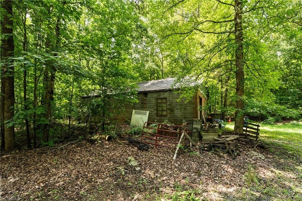 Picture 19