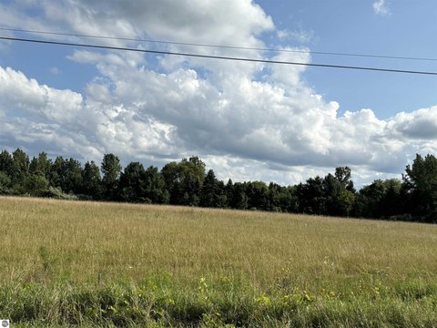 LAND - Mt Pleasant, MI