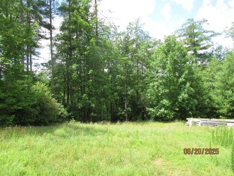 Hayesville Vacant Land Opportunity