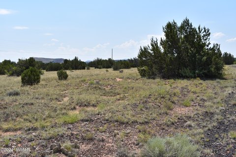 Land in Concho, Arizona