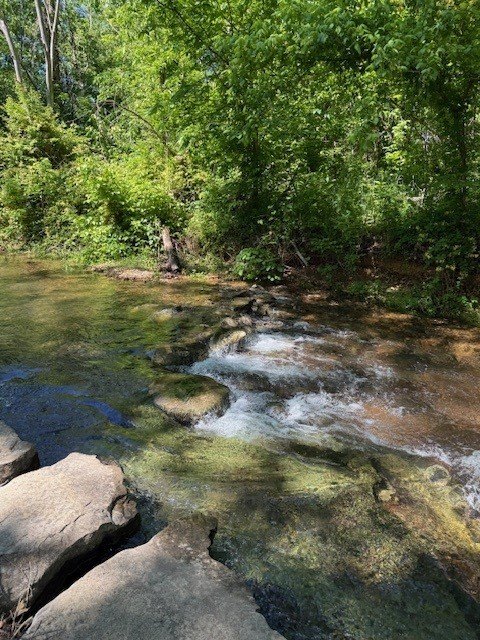 Bella Vista Land Opportunity