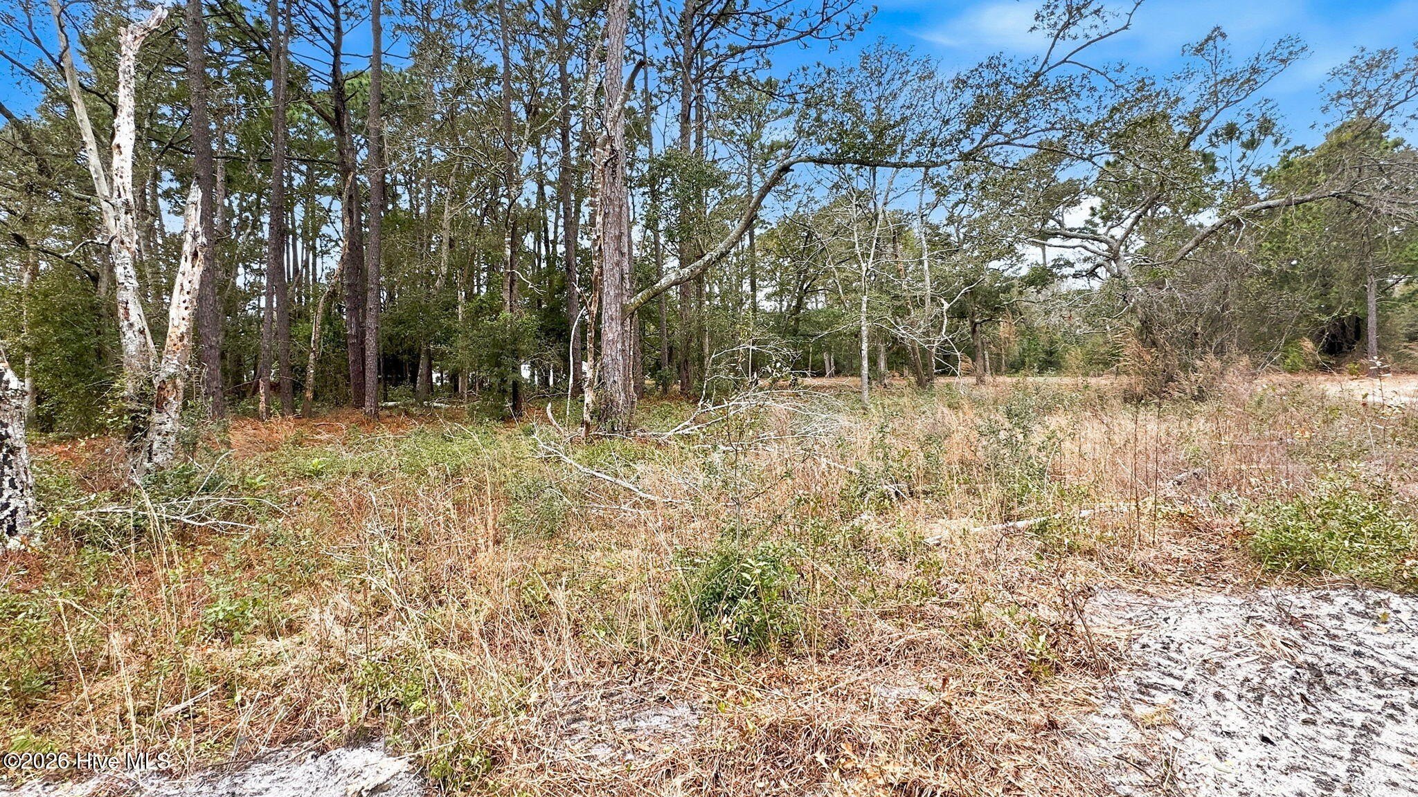 Southport, NC Wooded Lot