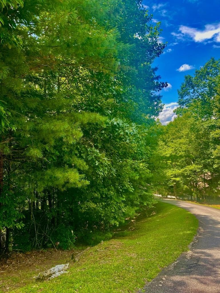 Blairsville, GA Vacant Lot