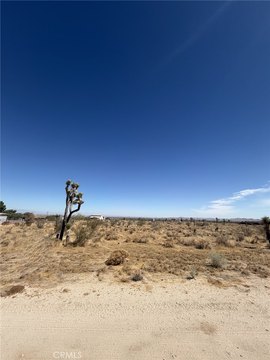 Land, Pearblossom, CA