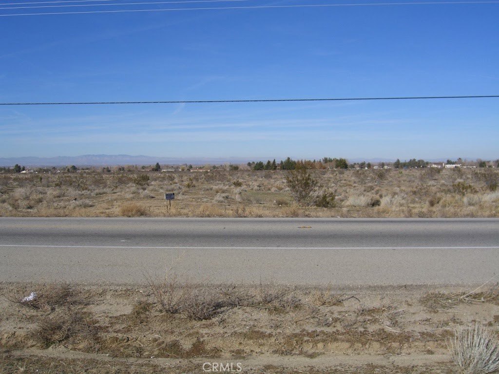 Picture 5