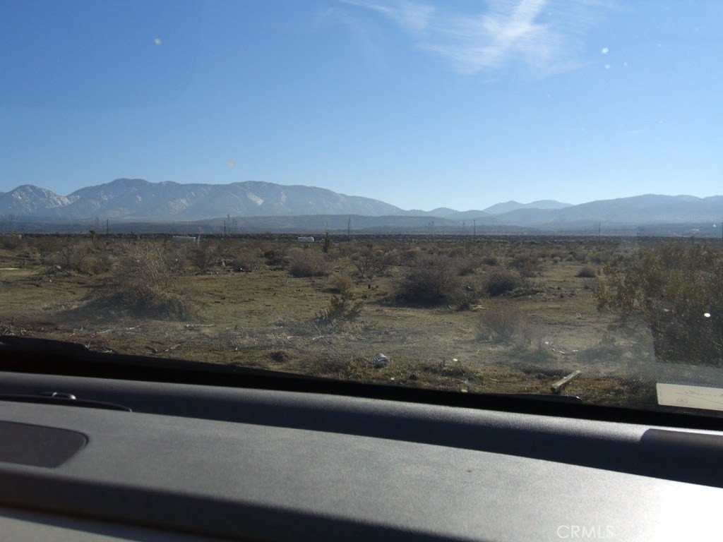 Picture 7