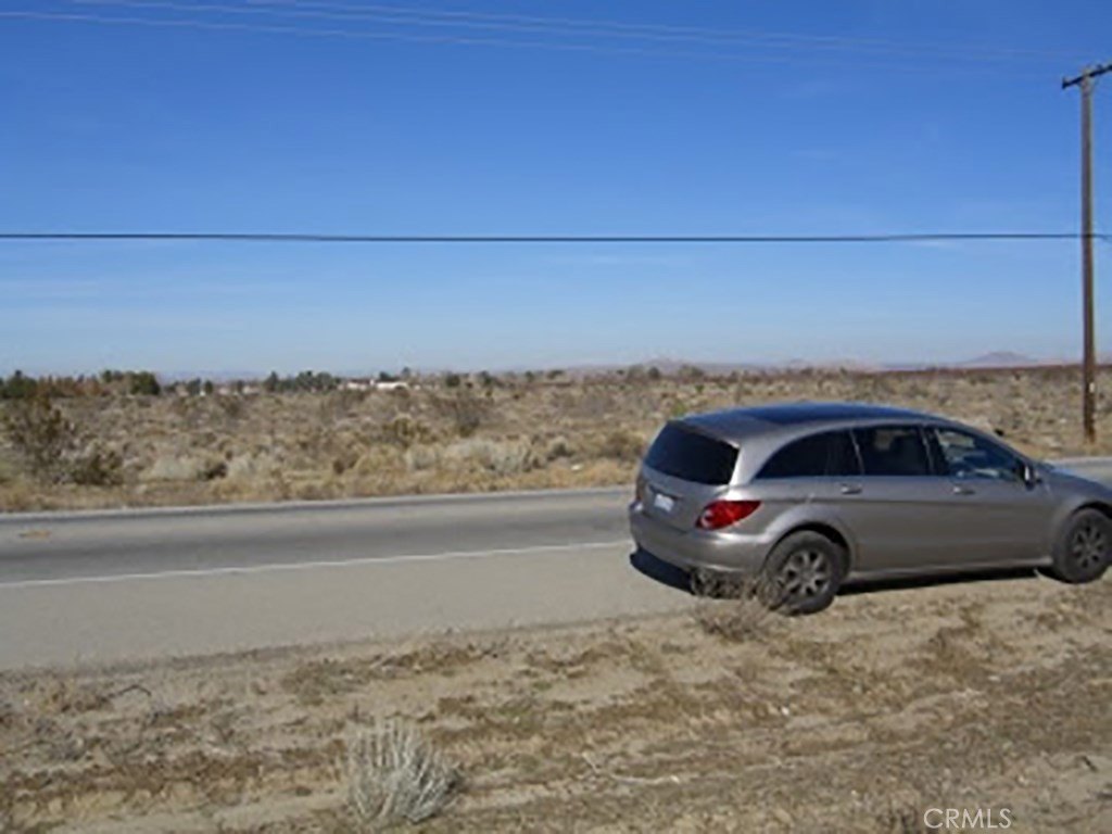 Picture 8