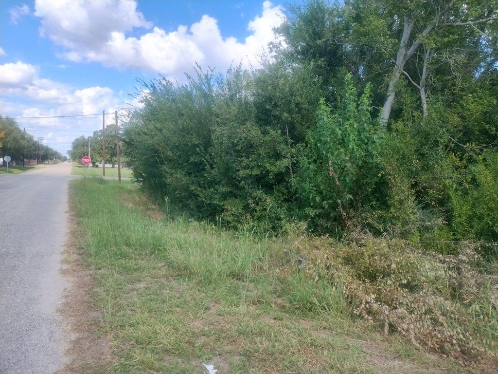 Picture 2
