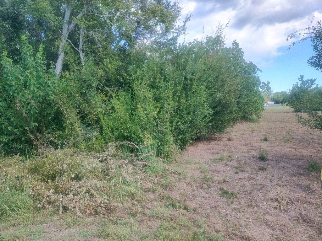 Picture 3