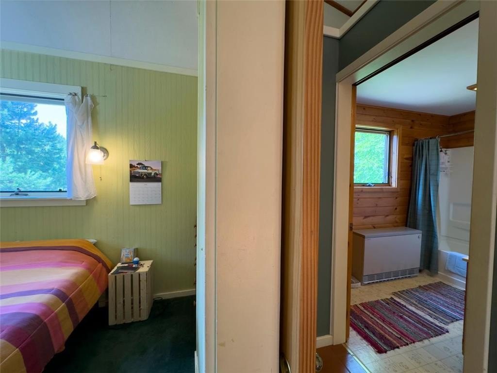 Picture 11