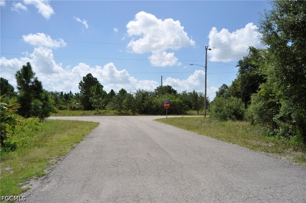 Picture 6
