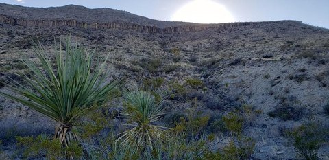Terlingua Ranch 20 Acre Land